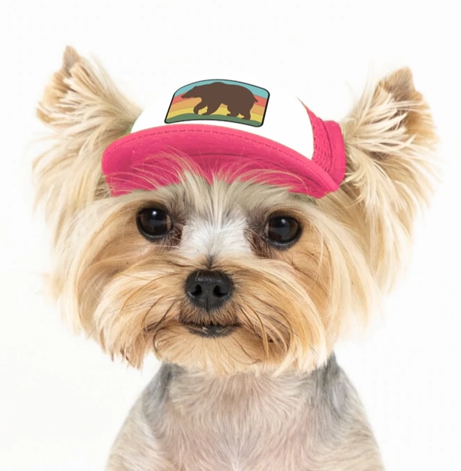 Puplid Trucker Hat