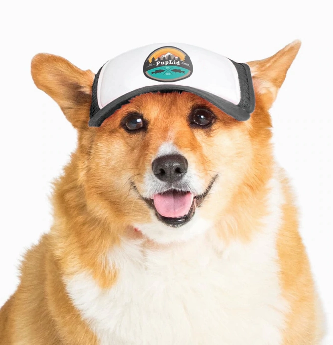 Puplid Trucker Hat