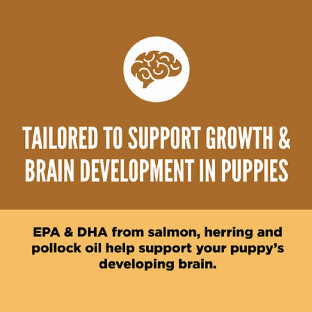 Puppy Formula Chicken & Turkey Dog Dry Food (USA)