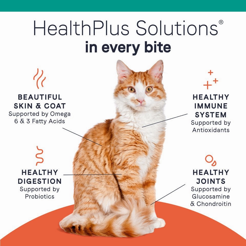 PURE Indoor Formula Grain Free Cat Dry Food - Tuna