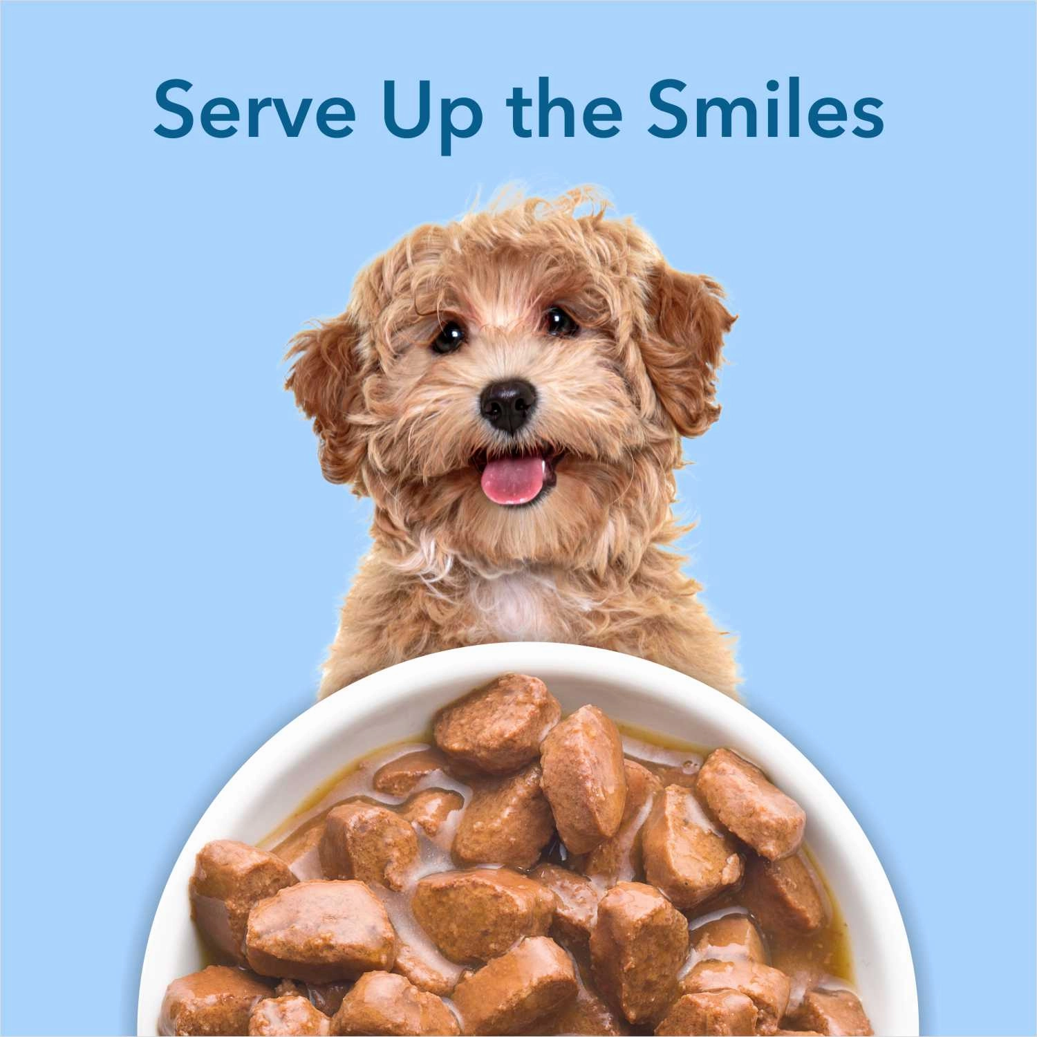 Purepet Chicken & Vegetable Chunks in Gravy Adult Dog Wet Food