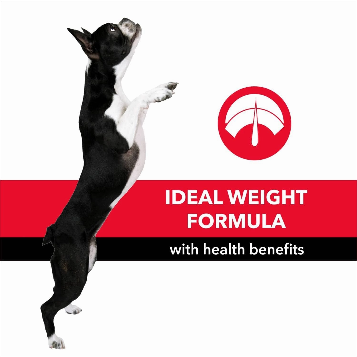 Purepet Meat and Rice Adult Dog Dry Food