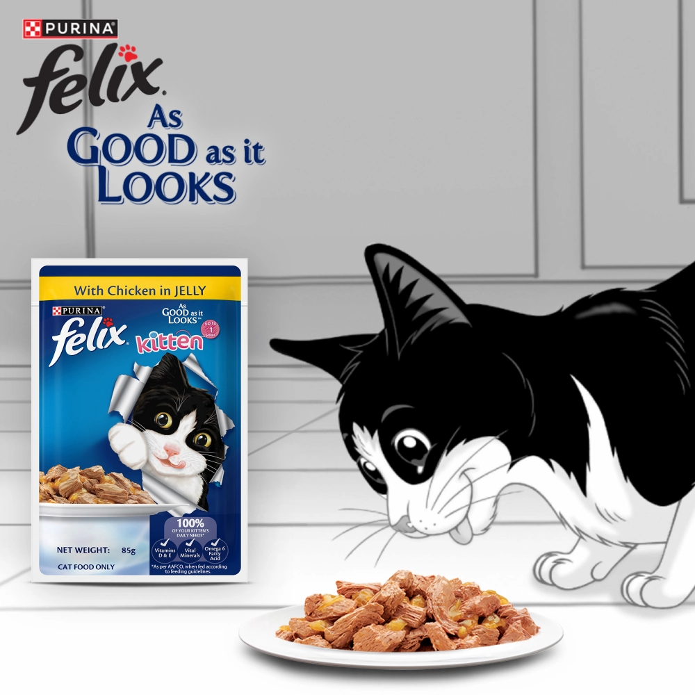 Purina Felix Chicken with Jelly Kitten Wet Food