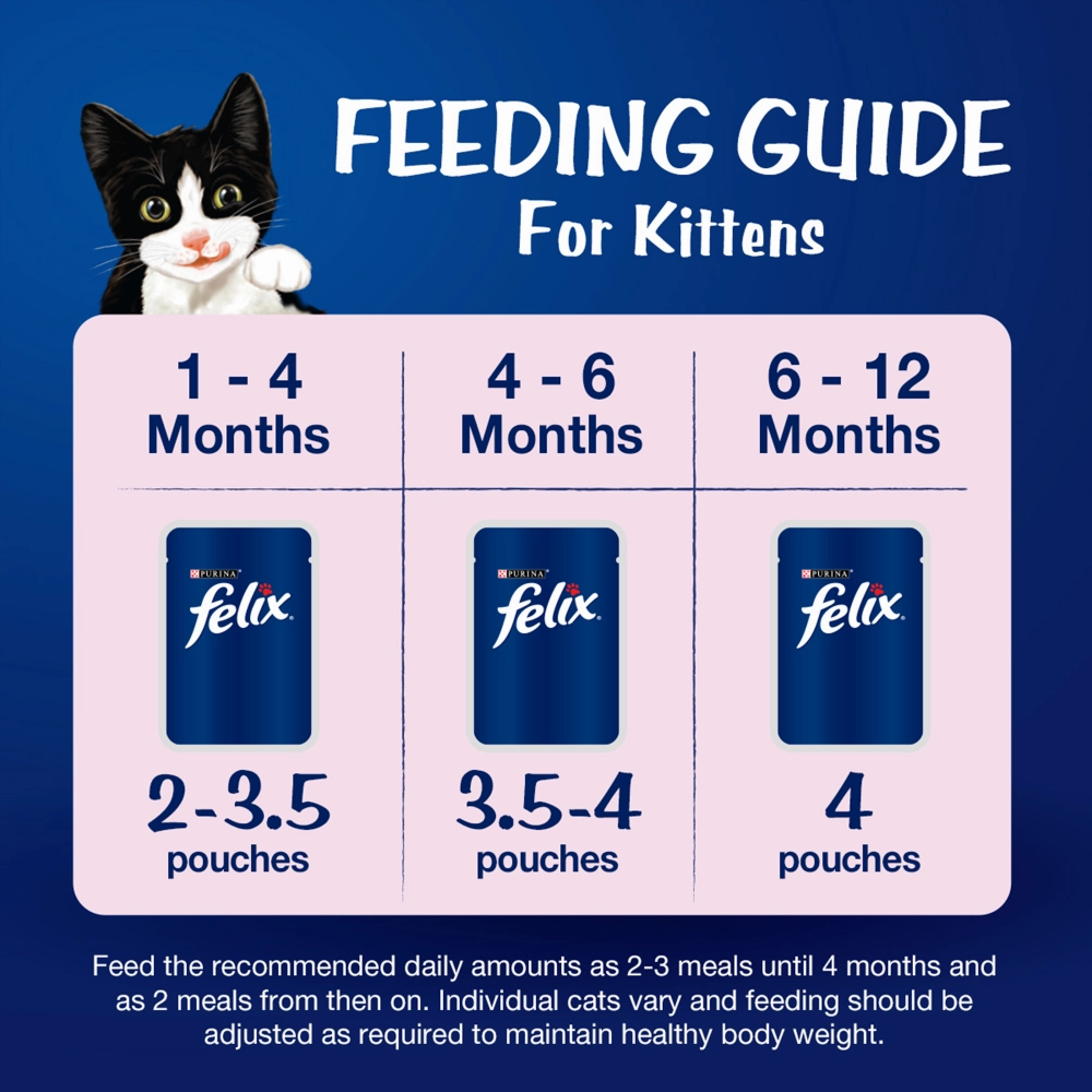 Purina Felix Chicken with Jelly Kitten Wet Food