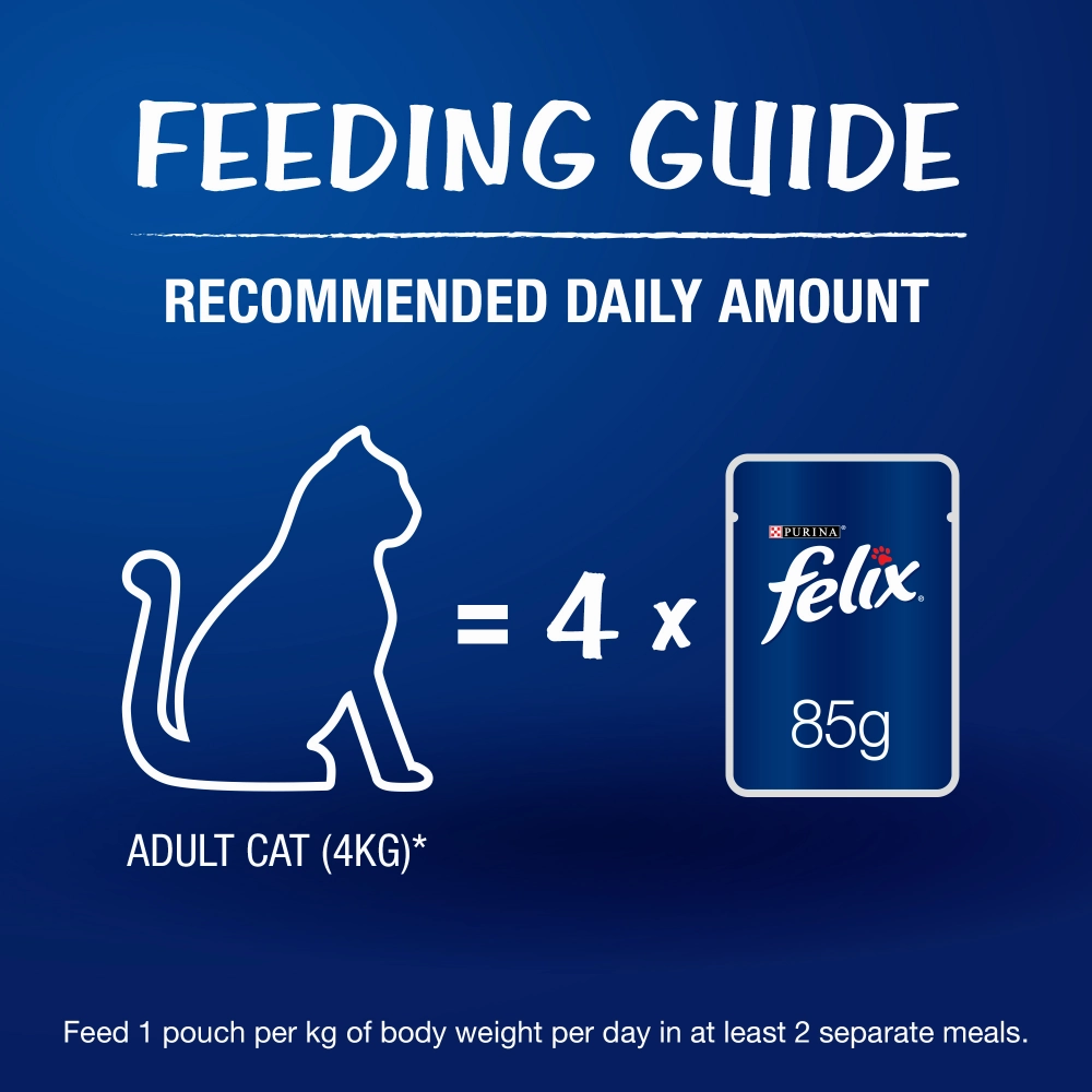 Purina Felix Salmon with Jelly Adult Cat Wet Food