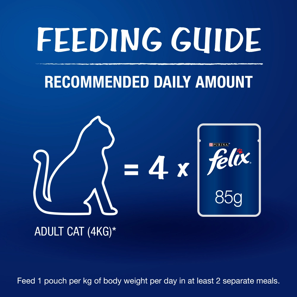 Purina Felix Sardine with Jelly Adult Cat Wet Food