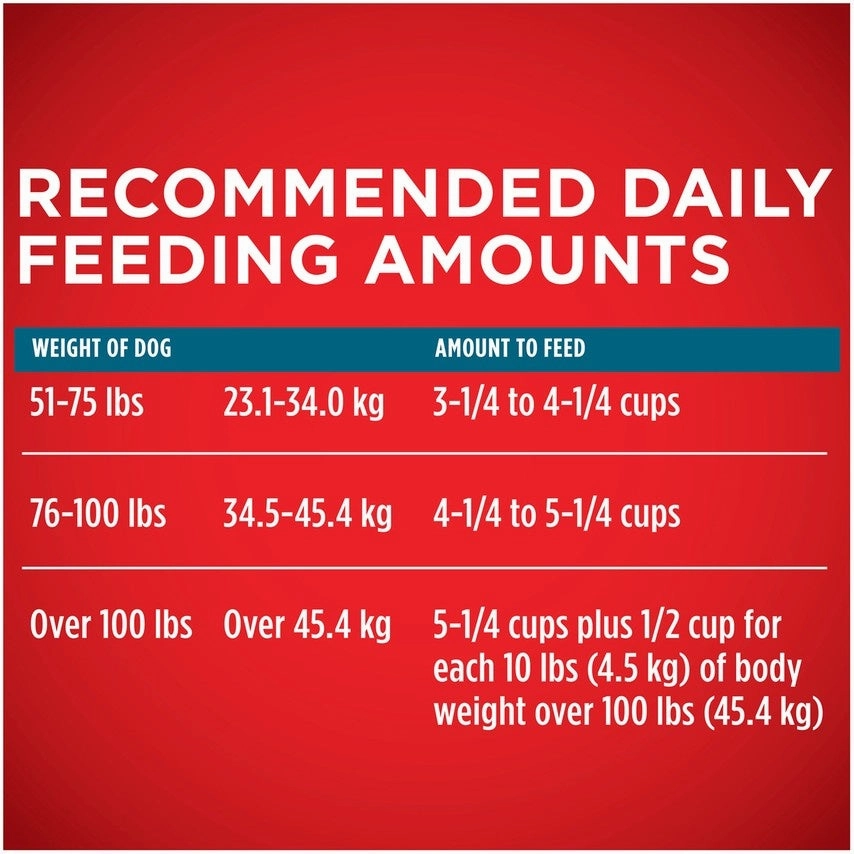 Purina ONE SmartBlend Large Breed Adult Dry Dog Food