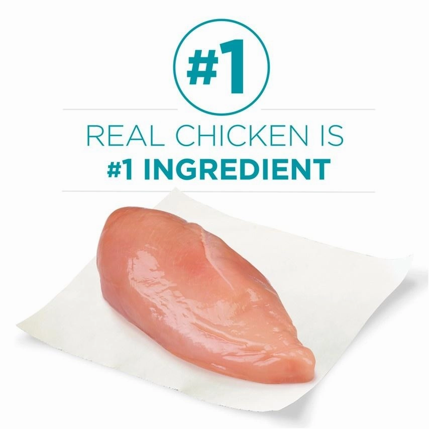 Purina ONE Tender Selects Blend Real Chicken Dry Cat Food