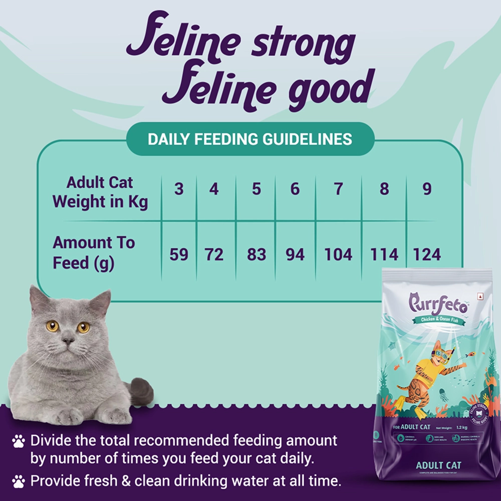Purrfeto Chicken and Ocean Fish Cat Dry Food