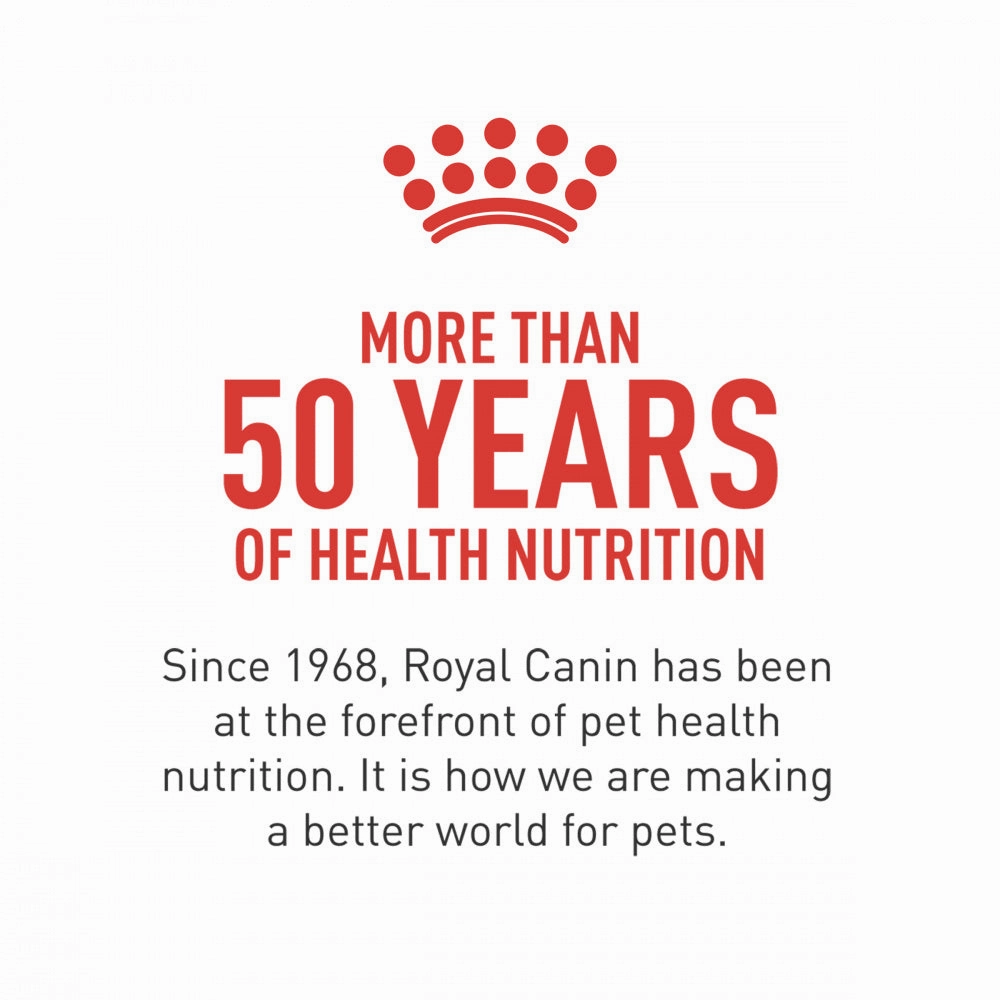 Royal Canin Breed Health Nutrition Golden Retriever Adult Dry Dog Food