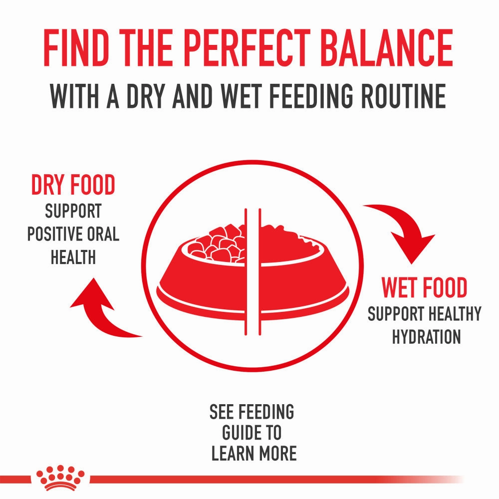 Royal Canin Feline Health Nutrition Digestive Care Dry Cat Food