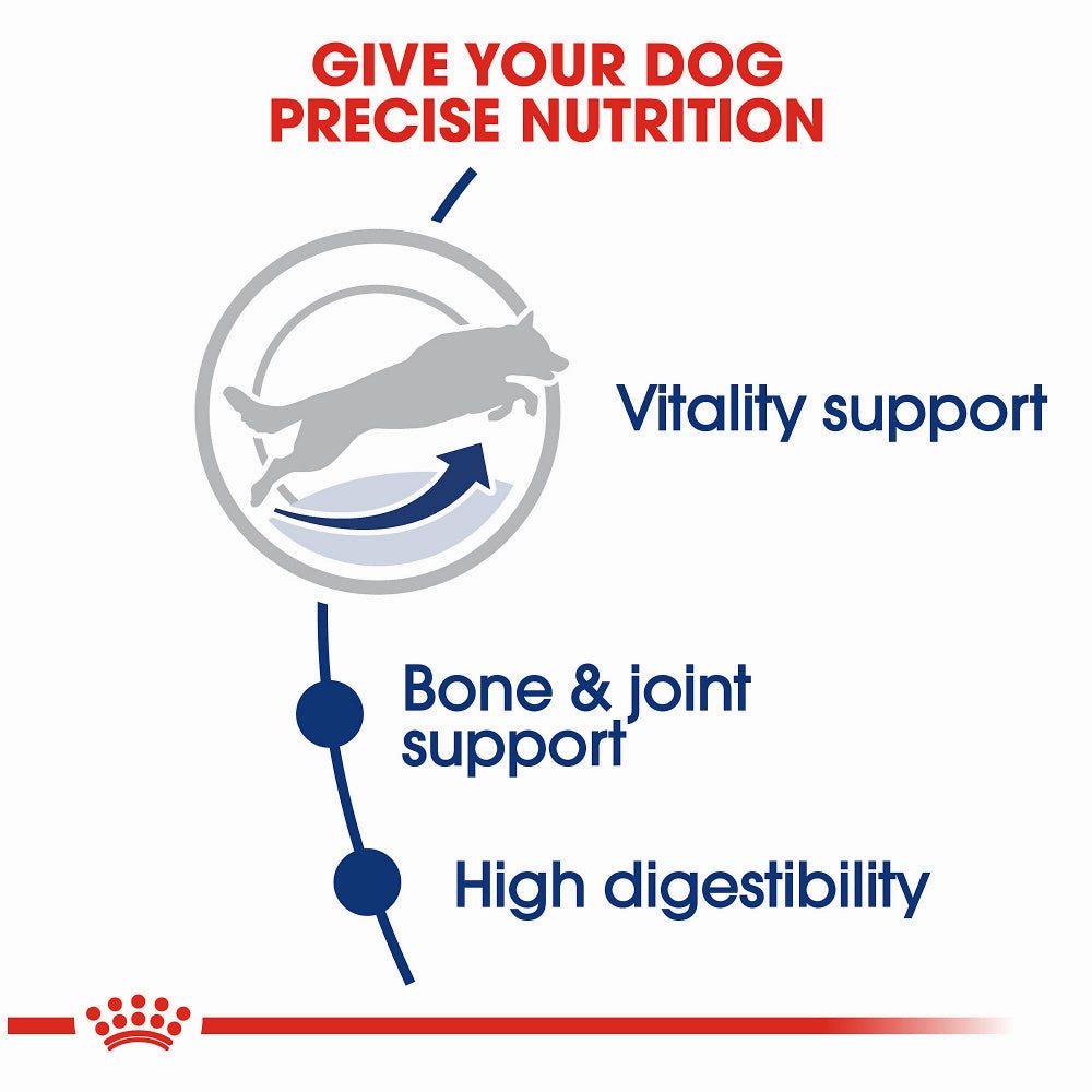 Royal Canin Size Health Nutrition Large Breed Adult 5  Dry Dog Food