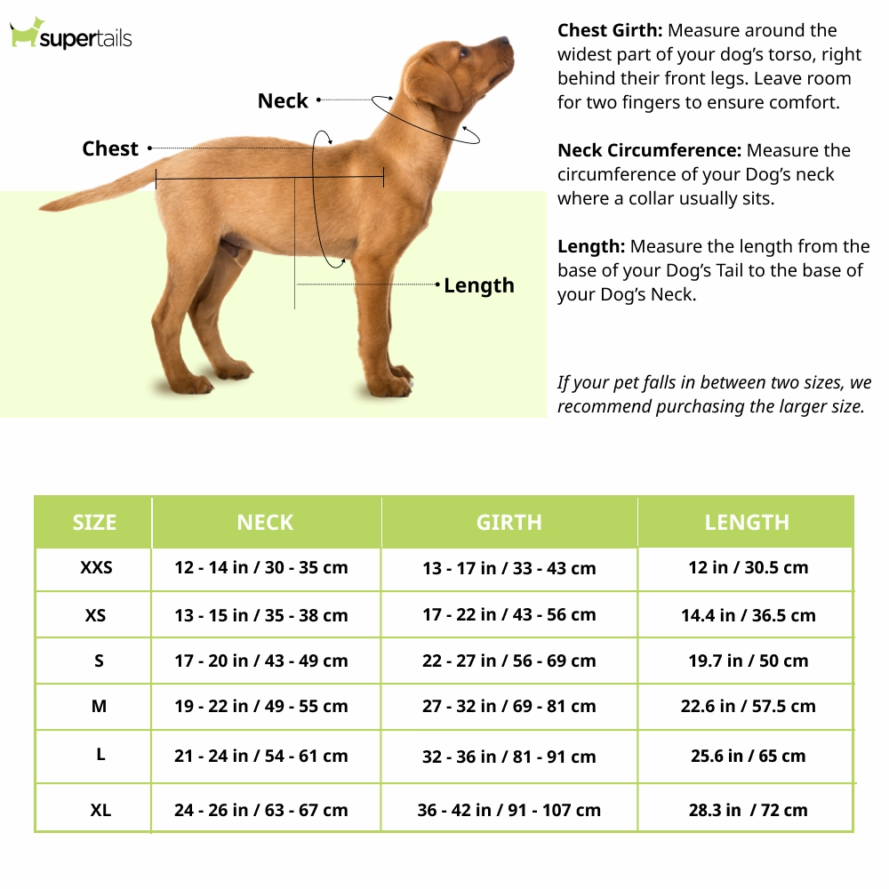 Ruffwear Cloud Chaser Jacket for Dogs (Aurora Teal)