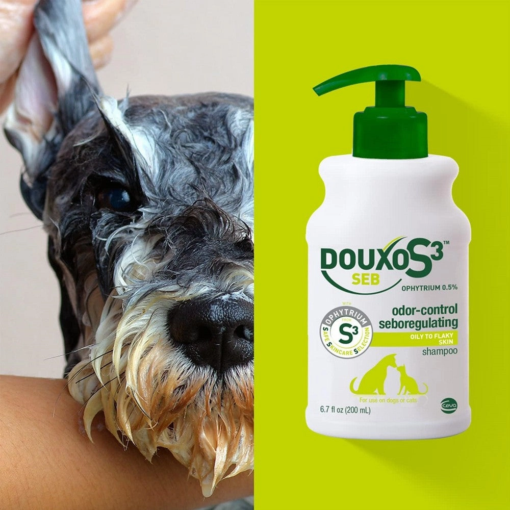 S3 SEB Shampoo for Dogs & Cats