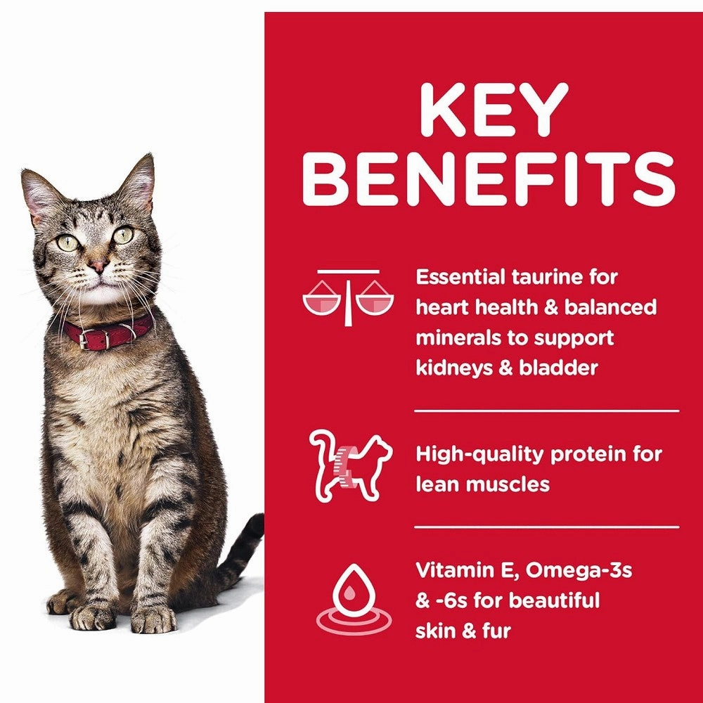 Science Diet - Everyday Diet Chicken Recipe for Adult 1-6 Cat Dry Food