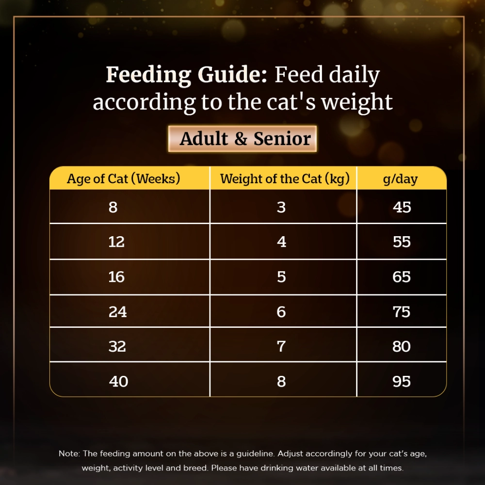 Sheba Chicken Loaf Premium Kitten (2 to 12 Months) Wet Food and Chicken All Life Stage Cat Dry Food Combo