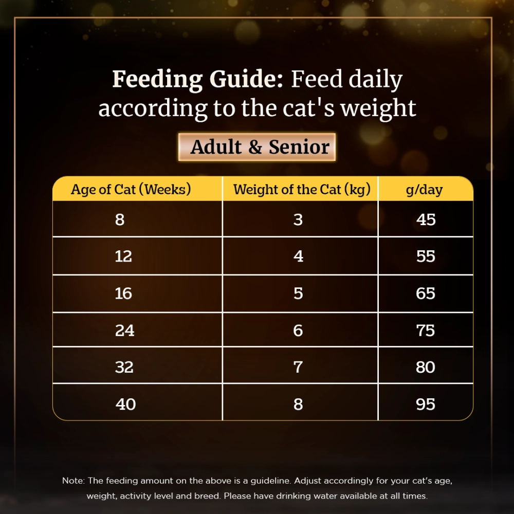 Sheba Chicken Loaf Rich Premium Kitten (2 to 12 Months) Fine Wet Food and Irresistible All Life Stage Cat Dry Food Combo