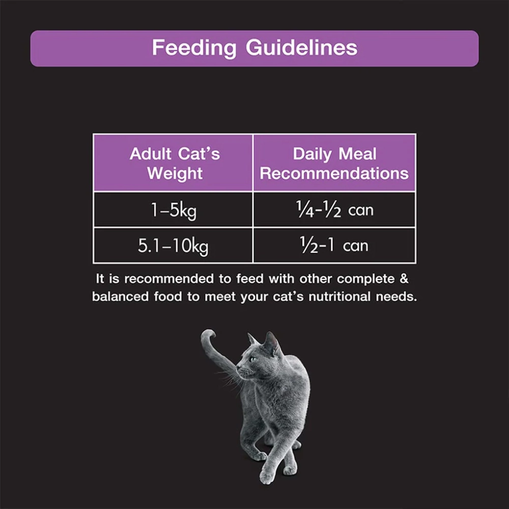 Sheba Pure Tuna Filets in Jelly Premium Cat Wet Food and Salmon Flavour Irresistible All Life Stages Cat Dry Food Combo