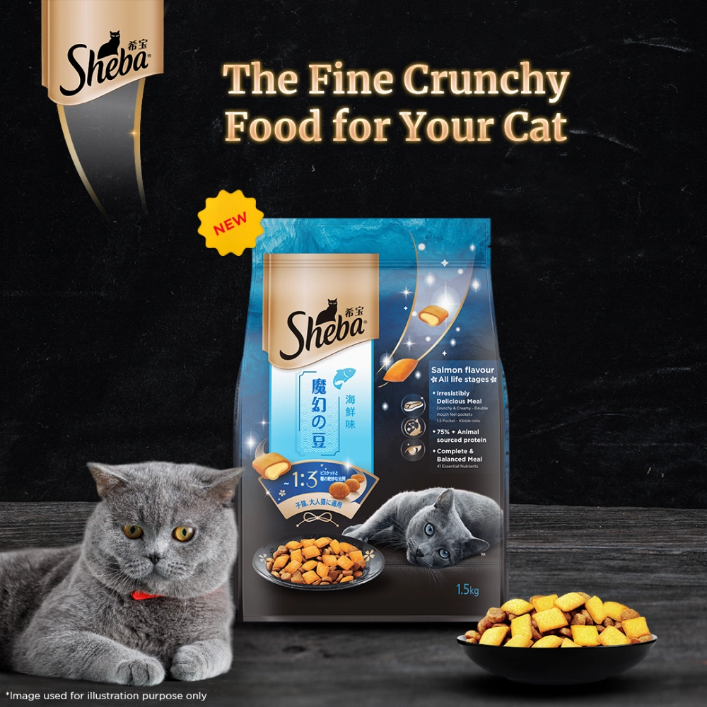 Sheba Pure Tuna Filets in Jelly Premium Cat Wet Food and Salmon Flavour Irresistible All Life Stages Cat Dry Food Combo