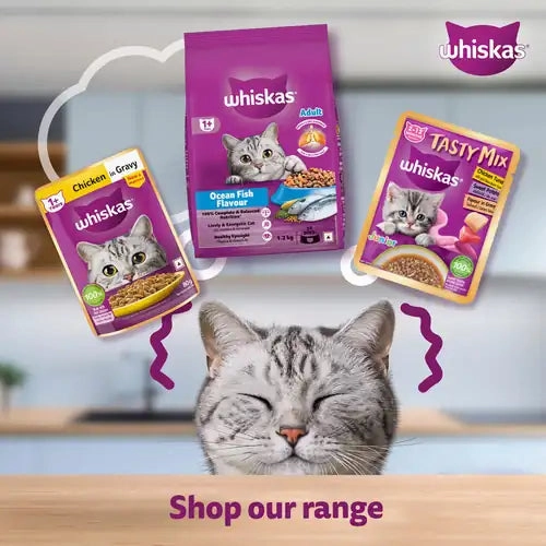 Sheba Tuna Pumpkin & Carrot In Gravy and Whiskas Tuna in Jelly Cat Wet Food Combo