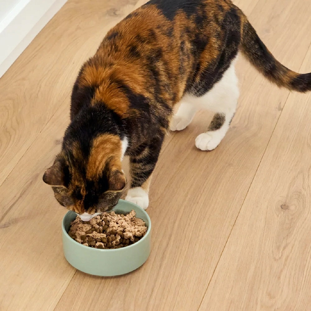 Silky Mousse Salmon & Cod Tasty Meal Topper for Cats