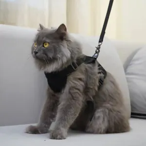 Skatrs Harness with Leash for Cats (Black)