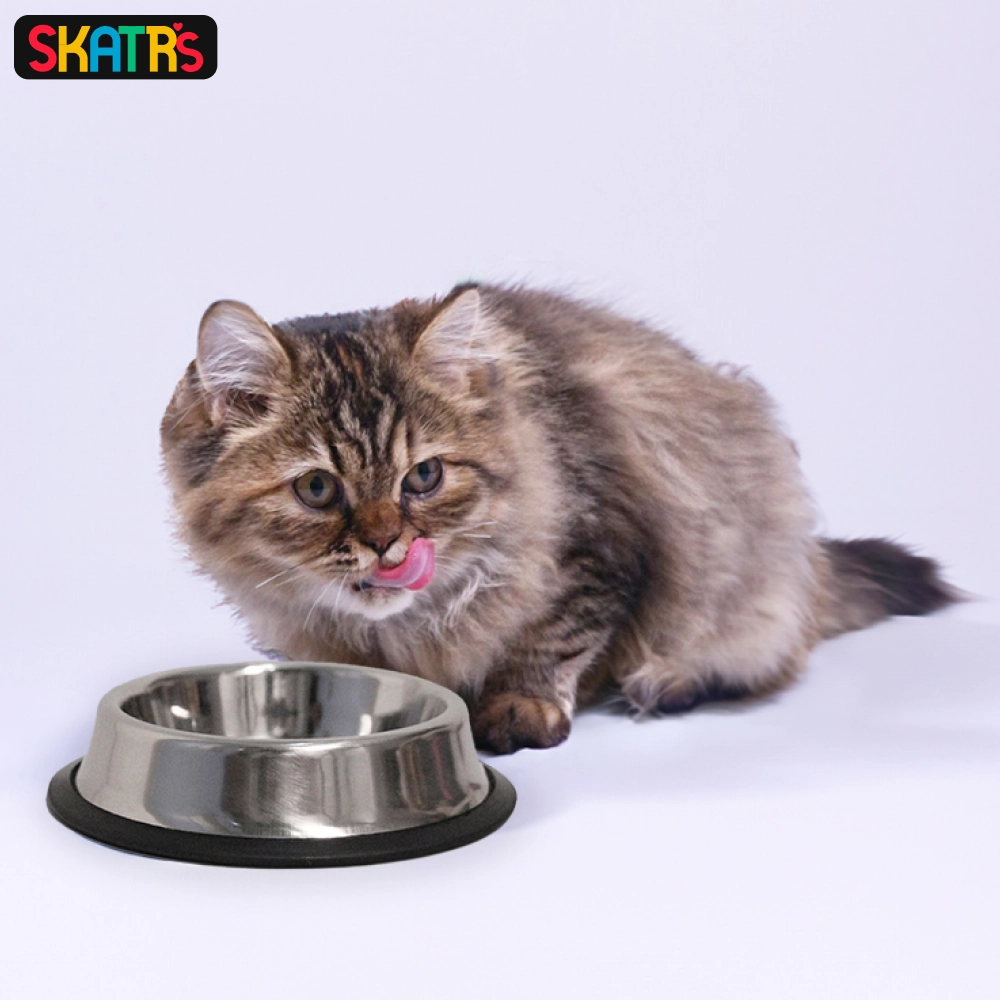 Skatrs Anti Skid Stainless Steel Bowl for Dogs and Cats (Pack of 2)