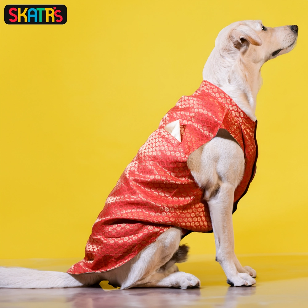 Skatrs Brocade Gold Printed Sherwani for Dogs and Cats (Red)