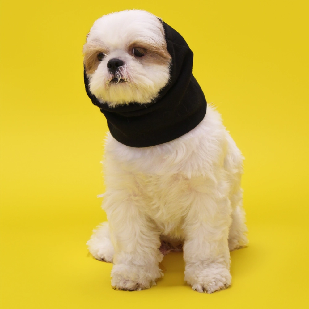 Skatrs Sound Protection Ear Muffs for Dogs and Cats (Black)