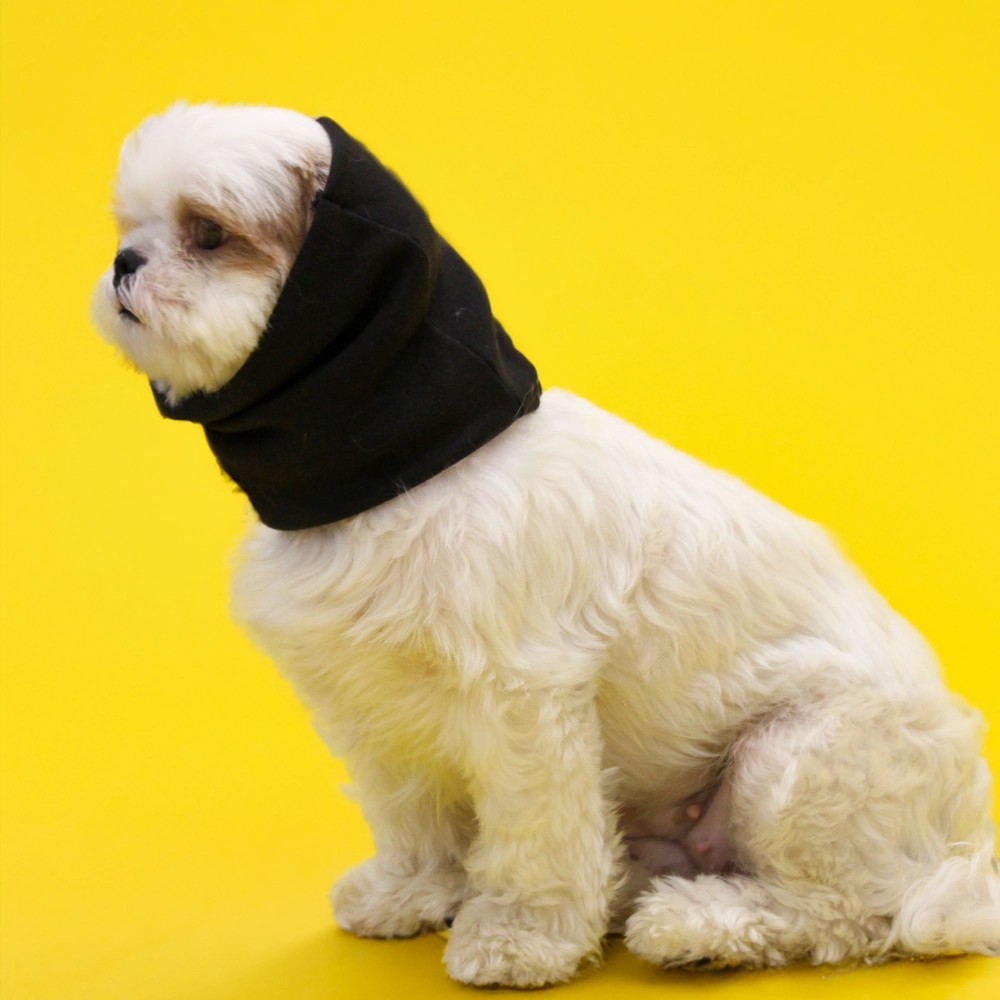Skatrs Sound Protection Ear Muffs for Dogs and Cats (Black)