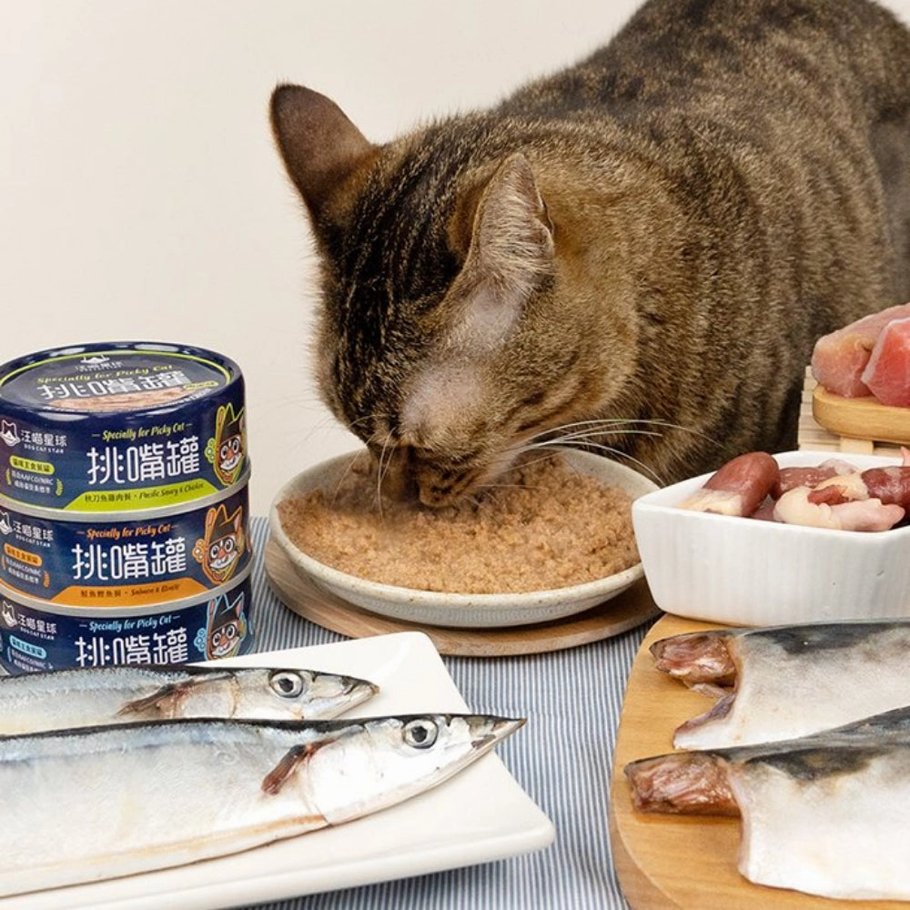 Specially for Picky Cat - Mackerel & Chicken Complete Balanced Cat Can