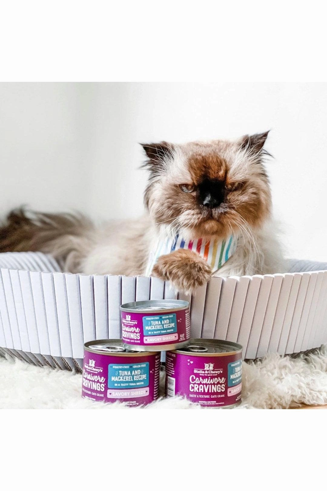 Stella and Chewy's Tuna and Mackerel Shreds Canned Cat Food
