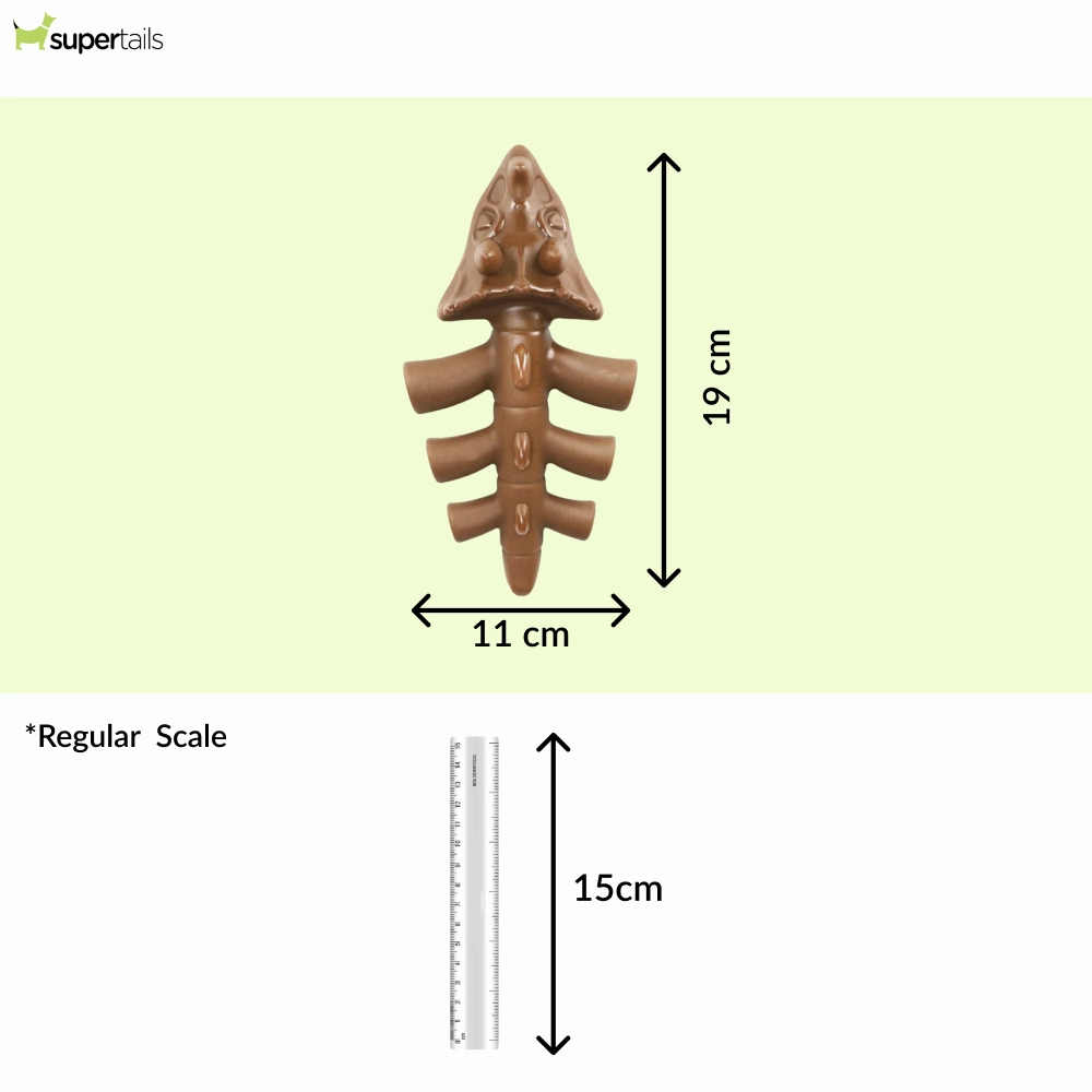 Talking Dog Club Dinosaur Nylon Bone Heavy Chew Toy for Dogs (Brown)