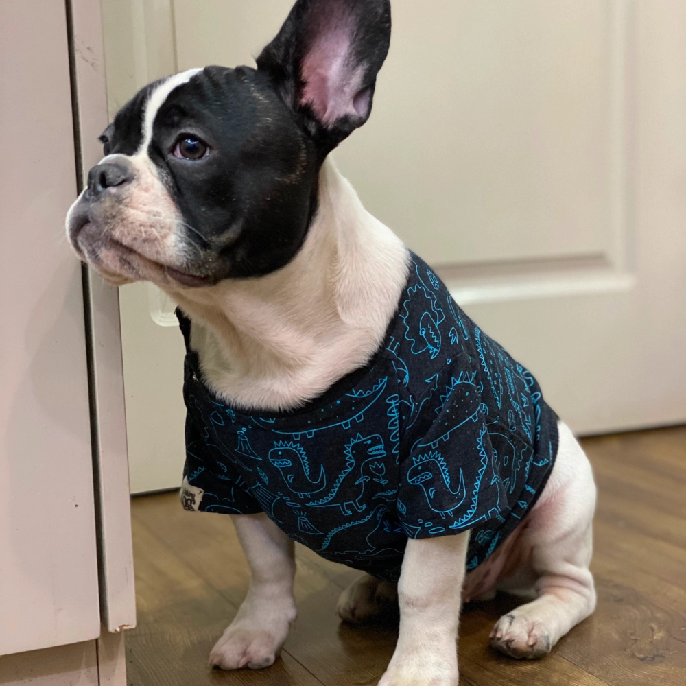 Talking Dog Club Doggy Warmer Dino Sweatshirt for Dogs (Charcoal)