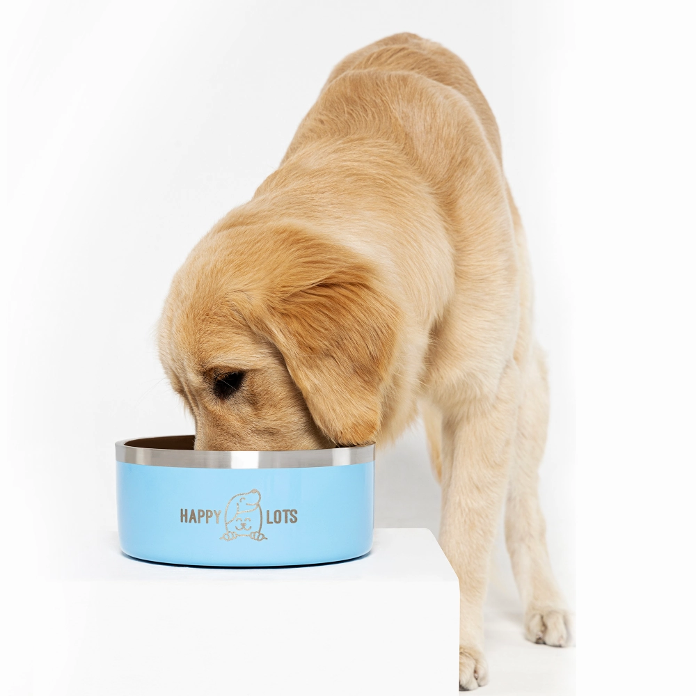 The Happy Lots Double Wall Bowl With Anti Skid Base for Dogs and Cats (Sky Blue)
