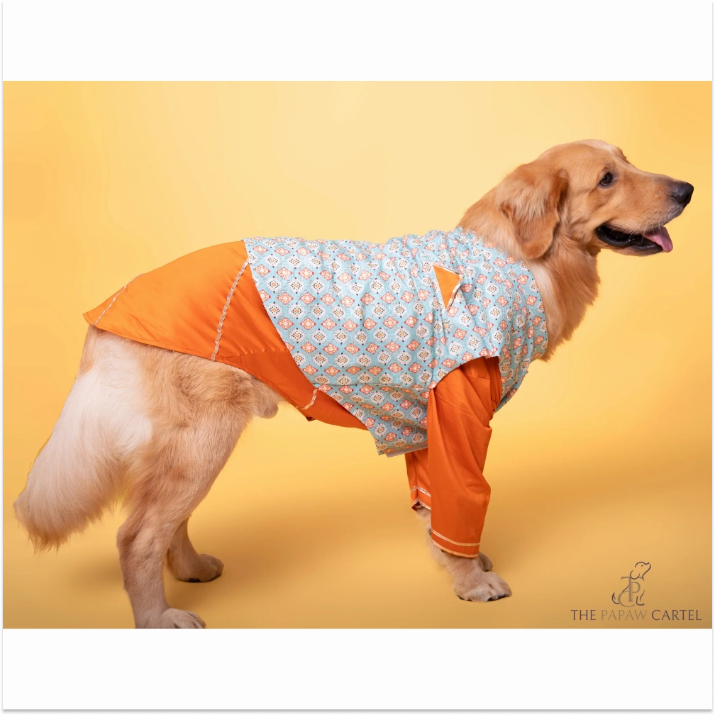 The Papaw Cartel Floral Aztec Koti With Kurta for Dogs (Mint Blue/Orange)