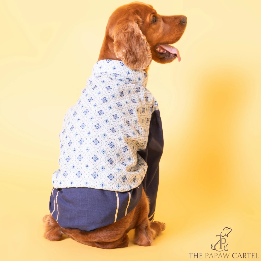 The Papaw Cartel Mosaic Print With Golden Zari Koti And Kurta for Dogs (white/Navy Blue)