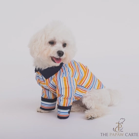 The Papaw Cartel Stripe Shirt for Dogs (Multicolor)