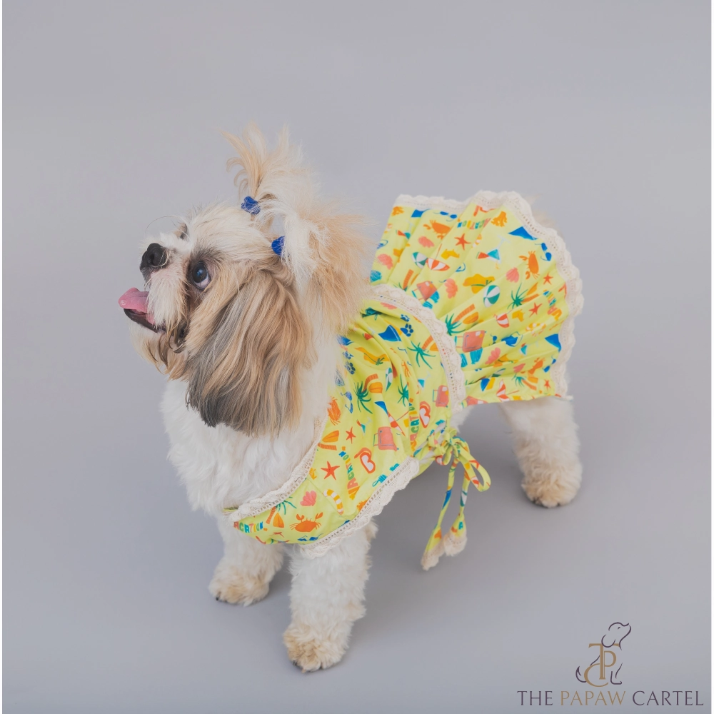The Papaw Cartel Vacation Dress for Dogs (Lime Green)