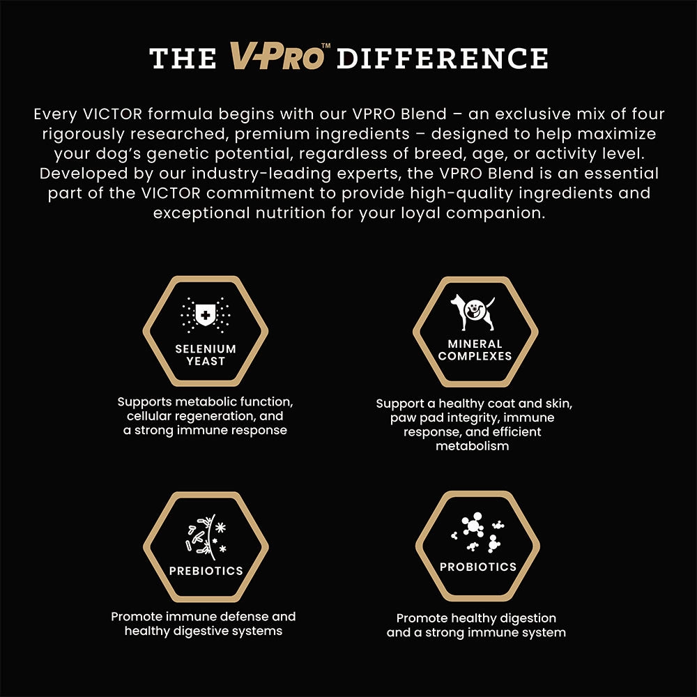 Victor Hi Pro Plus Dry Dog Food, 5lb