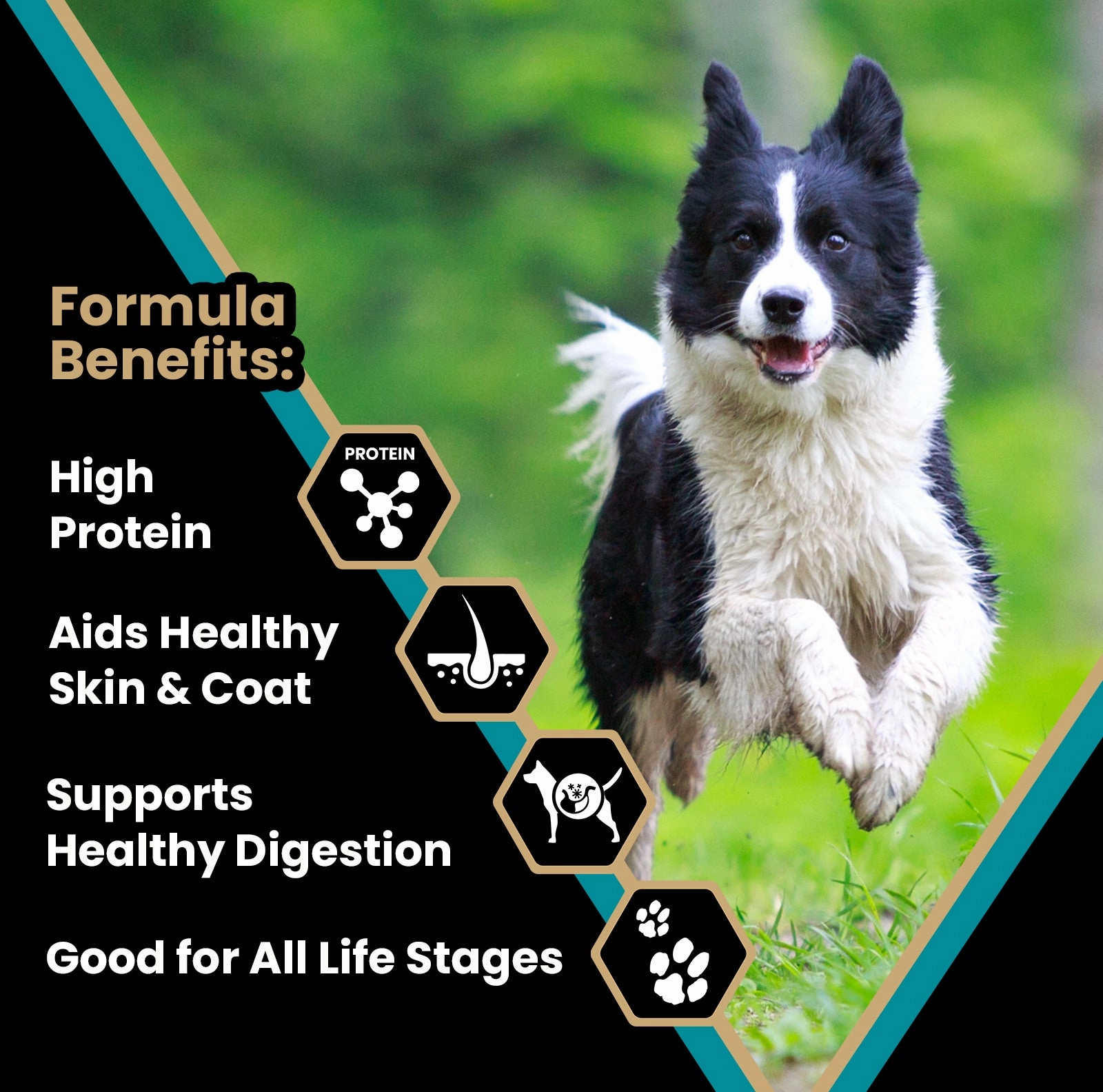 Victor Hi Pro Plus Dry Dog Food, 5lb