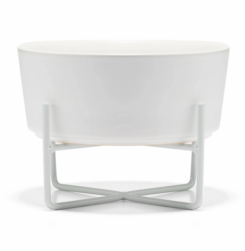 Waggo Simple Solid Dog Bowl   Stand