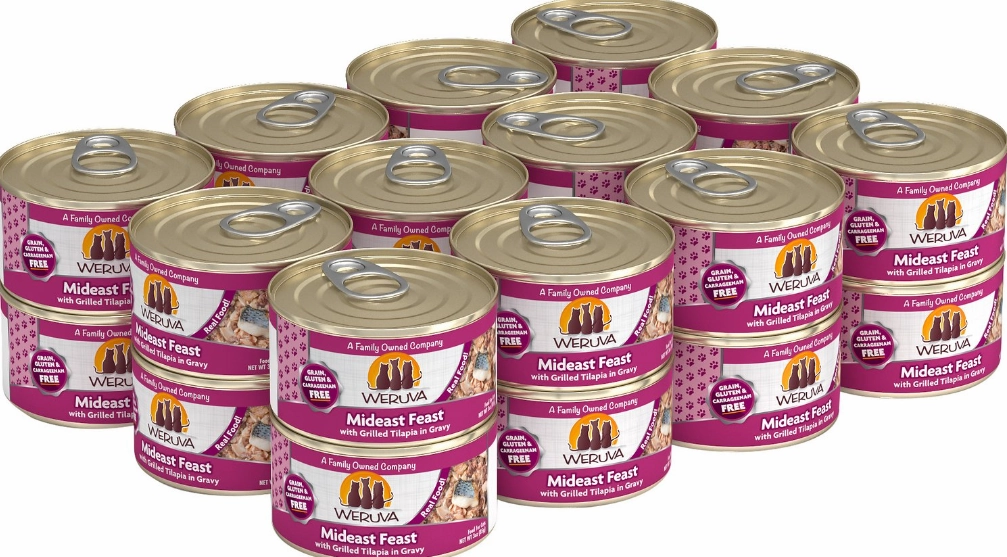 Weruva Cat Grain-Free Mideast Feast with Grilled Tilapia in Gravy