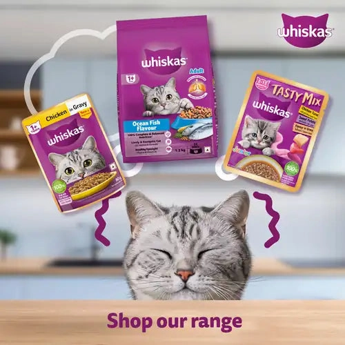 Whiskas Chicken in Gravy Adult Cat Wet Food