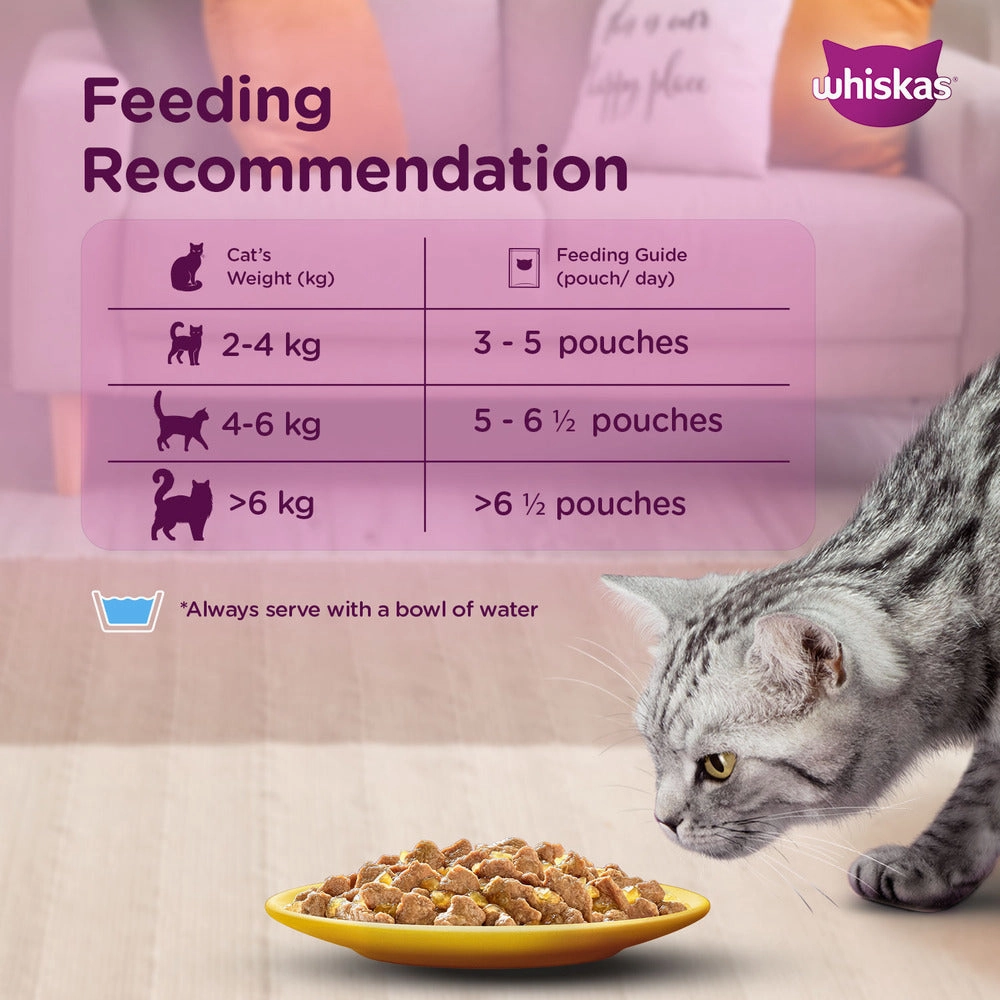 Whiskas Ocean Fish and Tuna in Jelly Meal Adult Cat Wet and Dry Food Combo