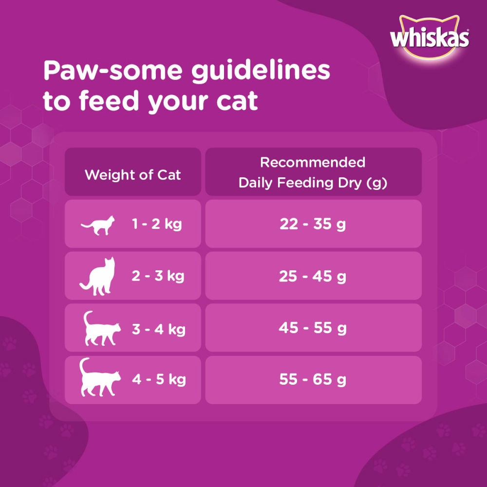Whiskas Ocean Fish Flavour Adult Cat Dry and Wet Food Combo