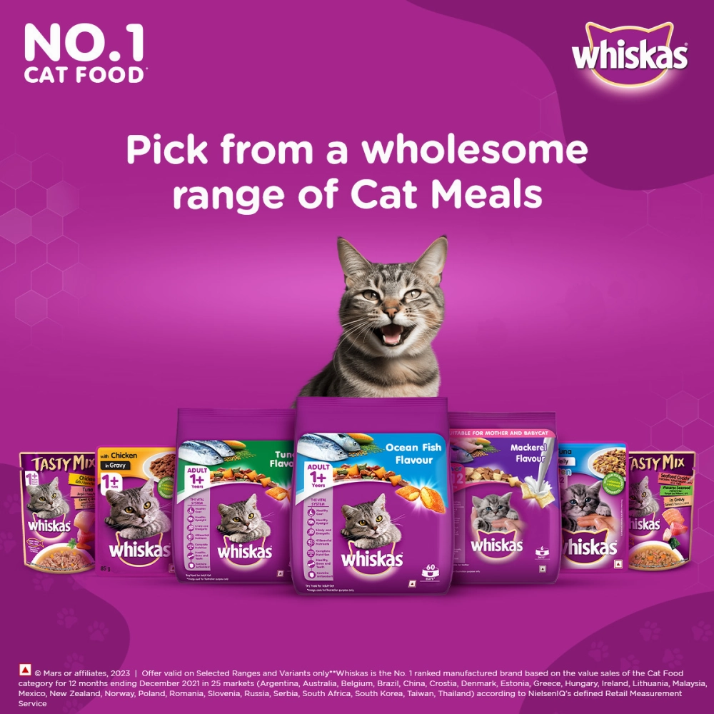 Whiskas Ocean Fish Flavour Adult Cat Dry and Wet Food Combo