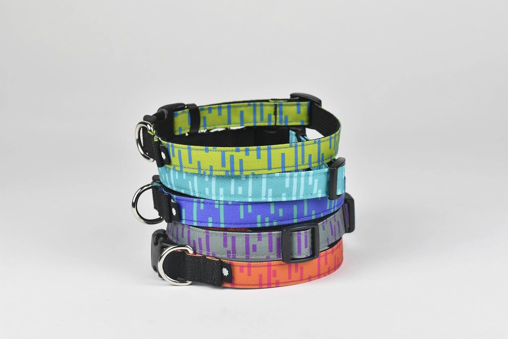 Wildebeest Pacifica Standard Collar