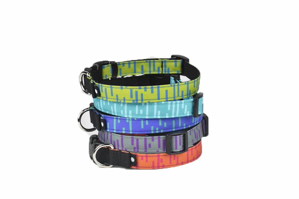 Wildebeest Pacifica Standard Collar