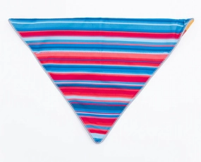 Wingo Bernie Dog Bandana